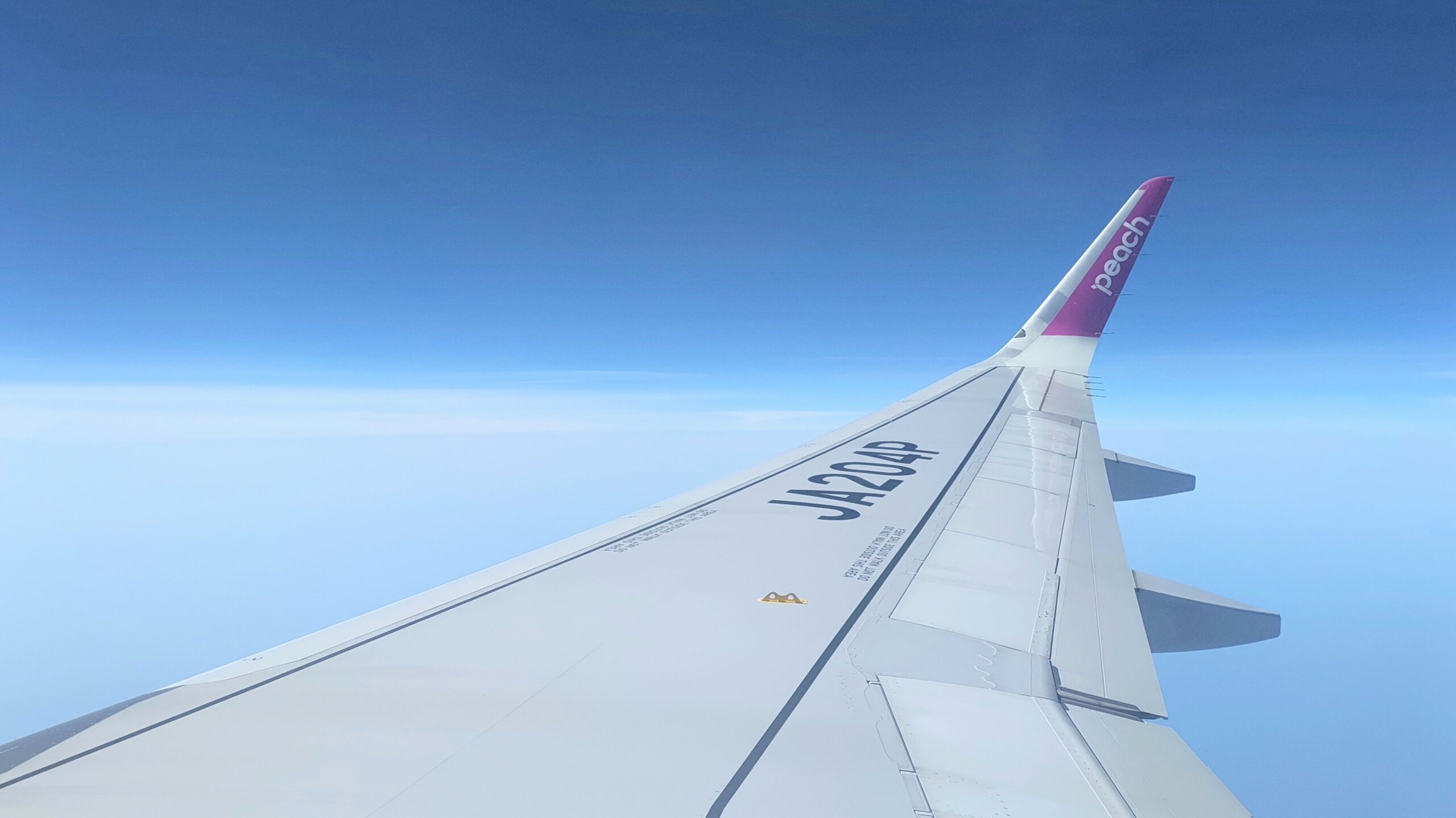 ピーチアビエーション機体