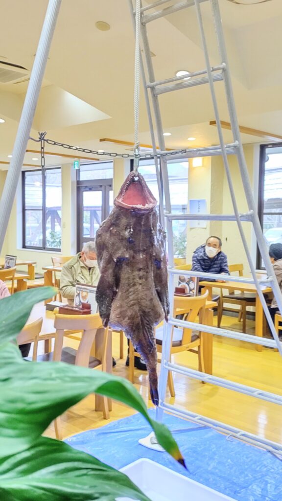 写真１．日本海・佐渡ヶ島沖　あんこう