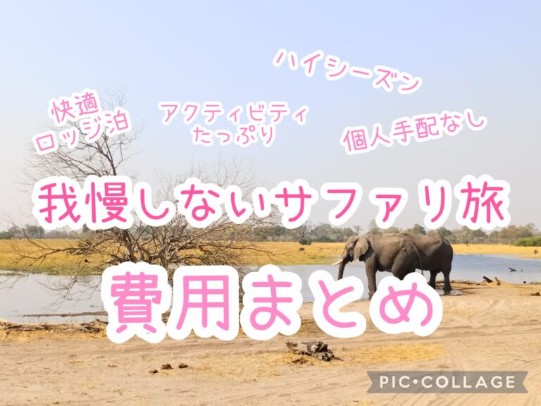 アフリカ旅行の実額