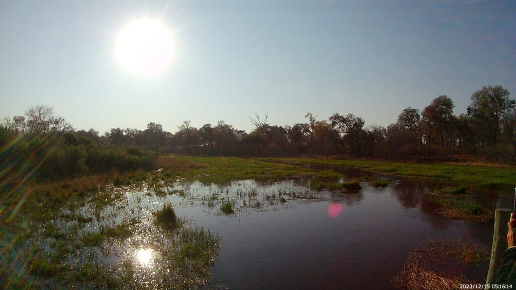 Khwai river