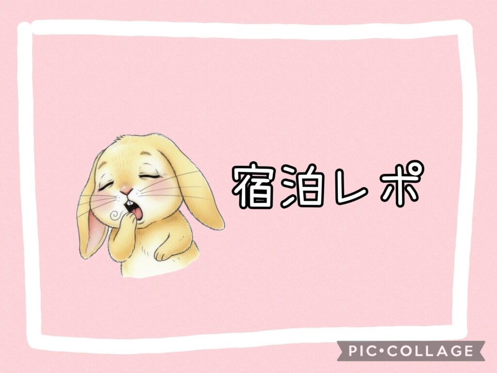 宿泊レポ ピックアップ画像