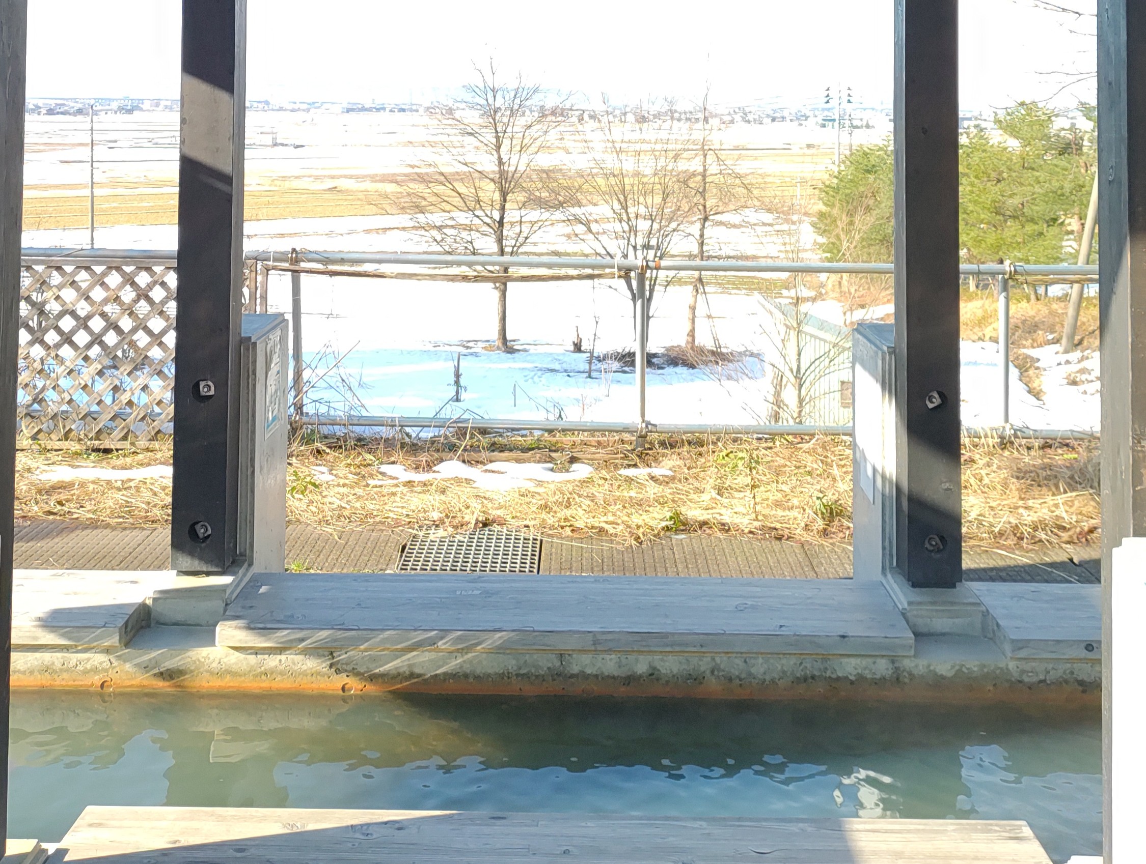 冬の新潟観光ガイド アイキャッチ画像