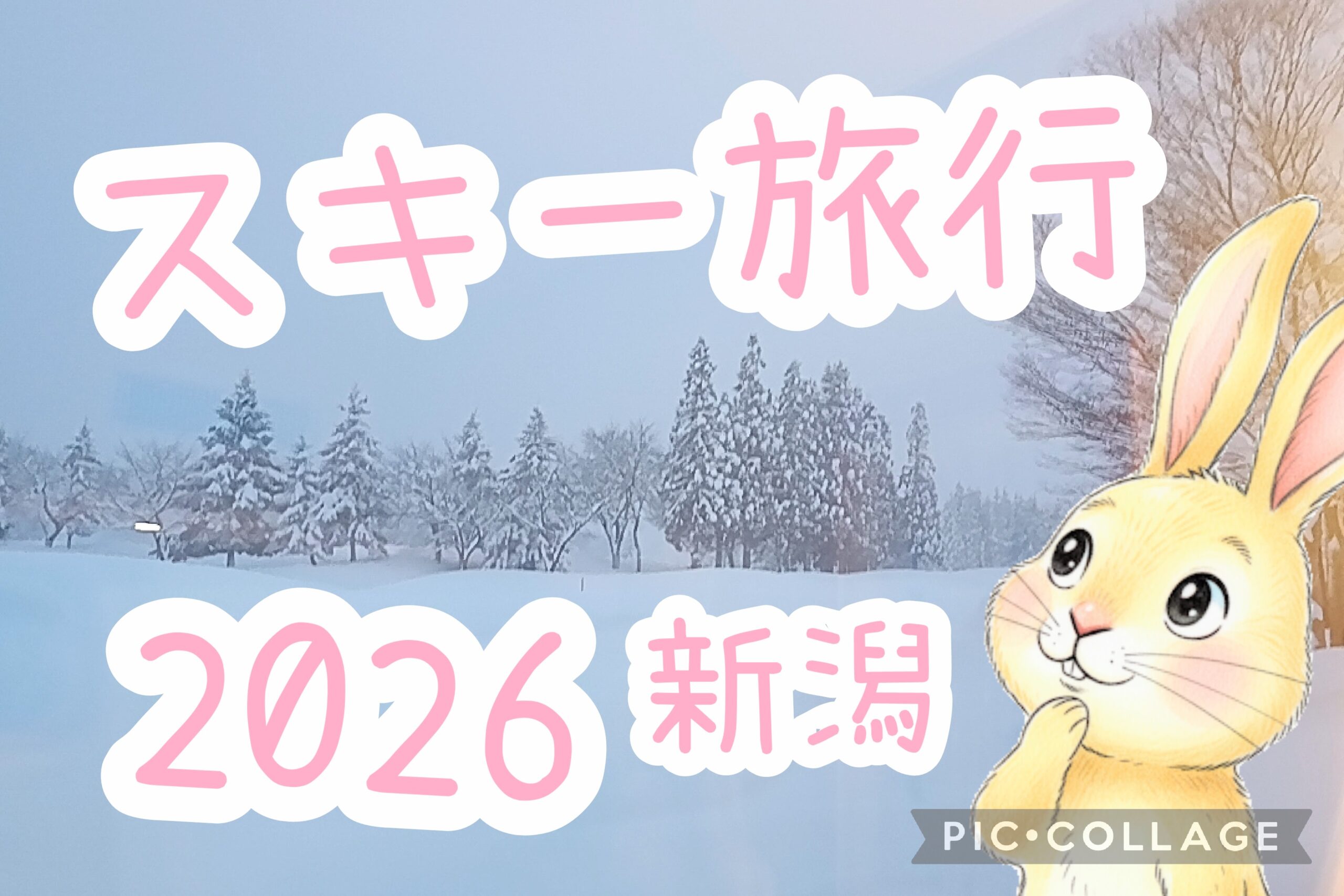 新潟スキー旅行アイキャッチ画像