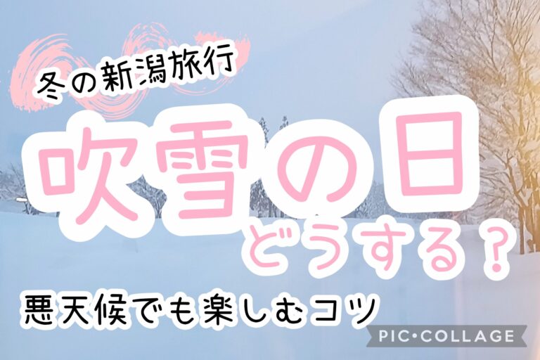 吹雪の日の過ごし方
