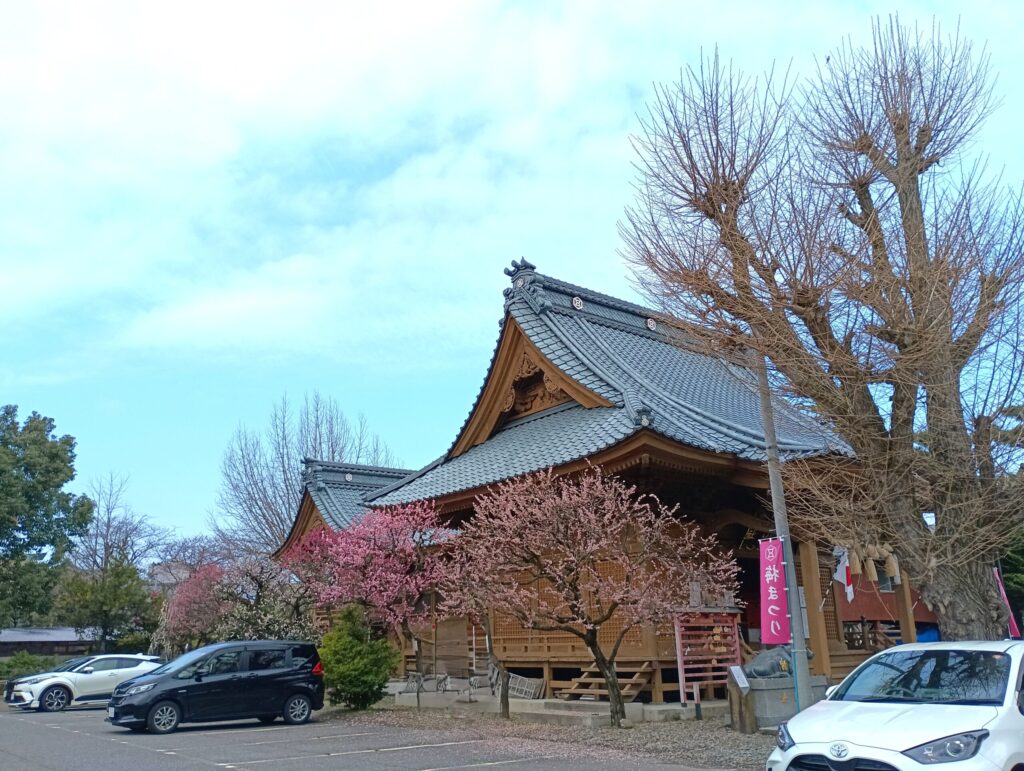梅まつり 蒲原神社