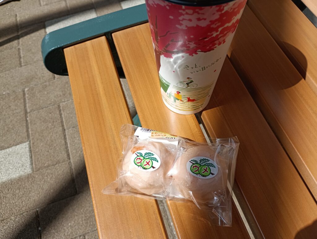 道の駅たがみ うめまんじゅう