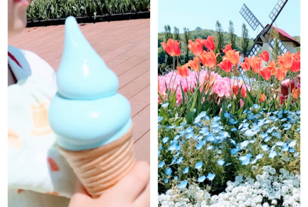 新潟グルメ14_青ばらソフト