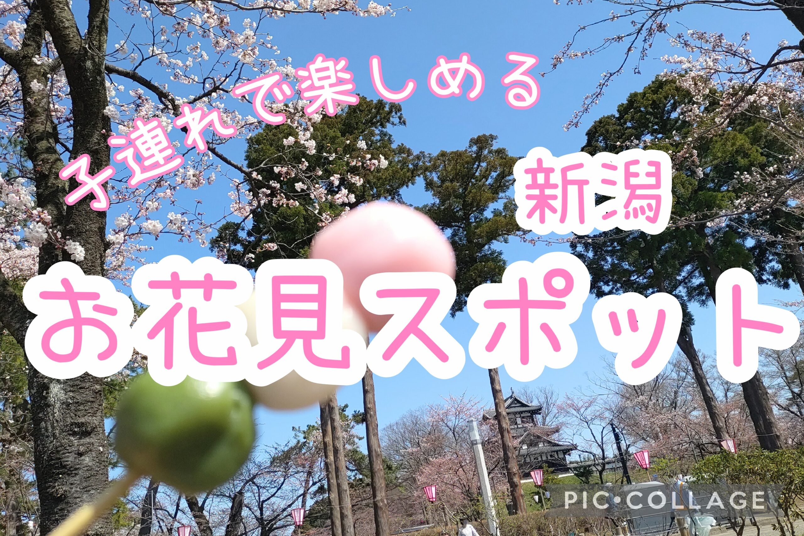 お花見スポット アイキャッチ画像