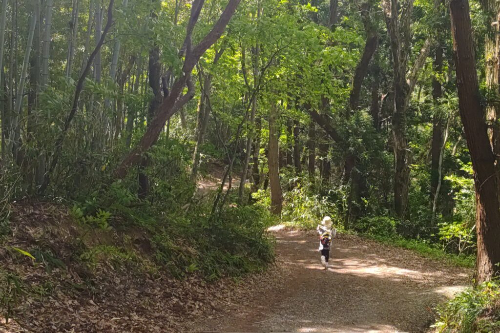 護摩堂山 山開き