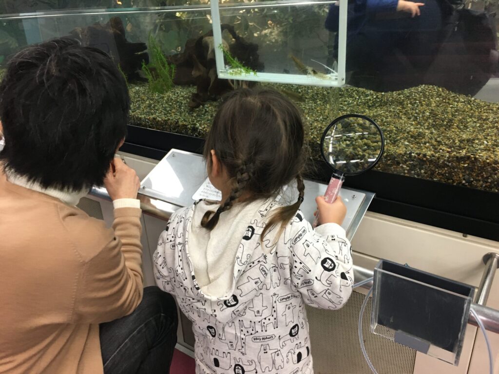 新潟県立自然科学博物館