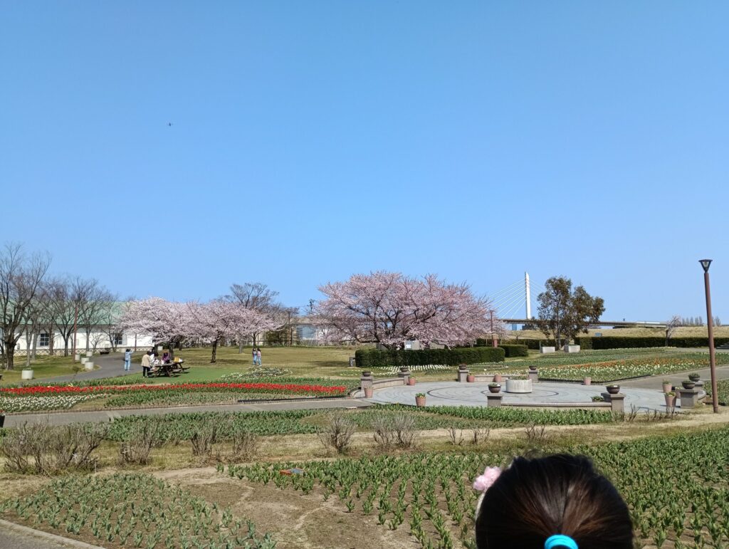 道の駅 ふるさと村