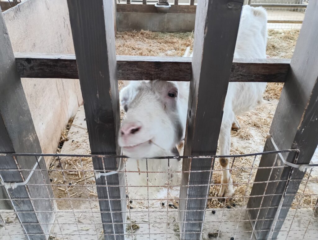 新潟 アグリパーク