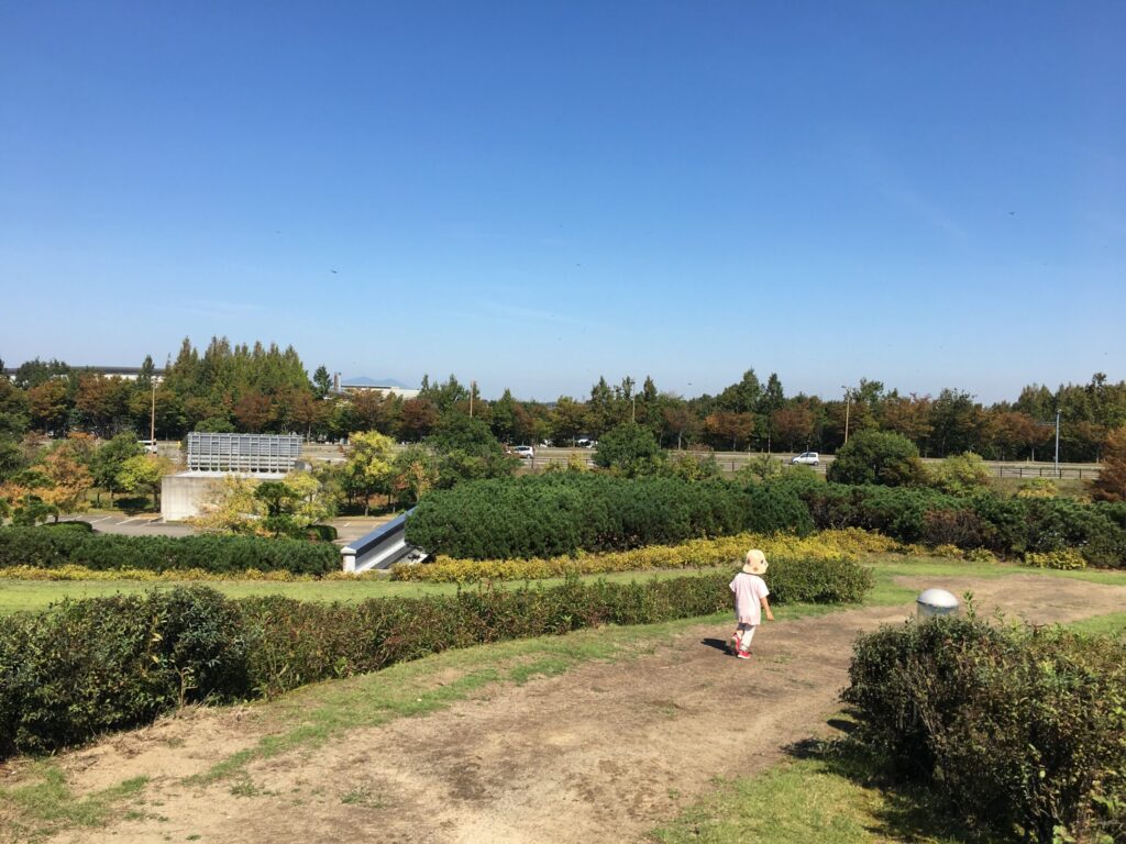 新潟近代美術館 上のガーデン