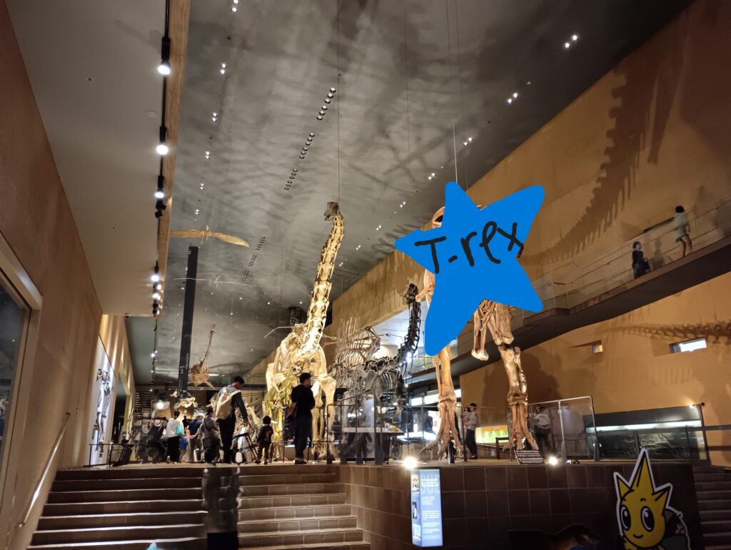 いのちのたび博物館の館内に展示された恐竜の骨格標本。天井の高い空間に大きな骨が立ち上がり、子どもも大人も思わず見上げてしまう圧倒的なスケール感がある。