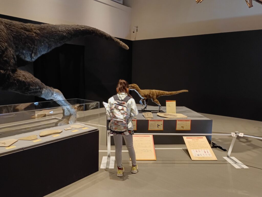 長崎ベネックス恐竜博物館　中国の恐竜研究展