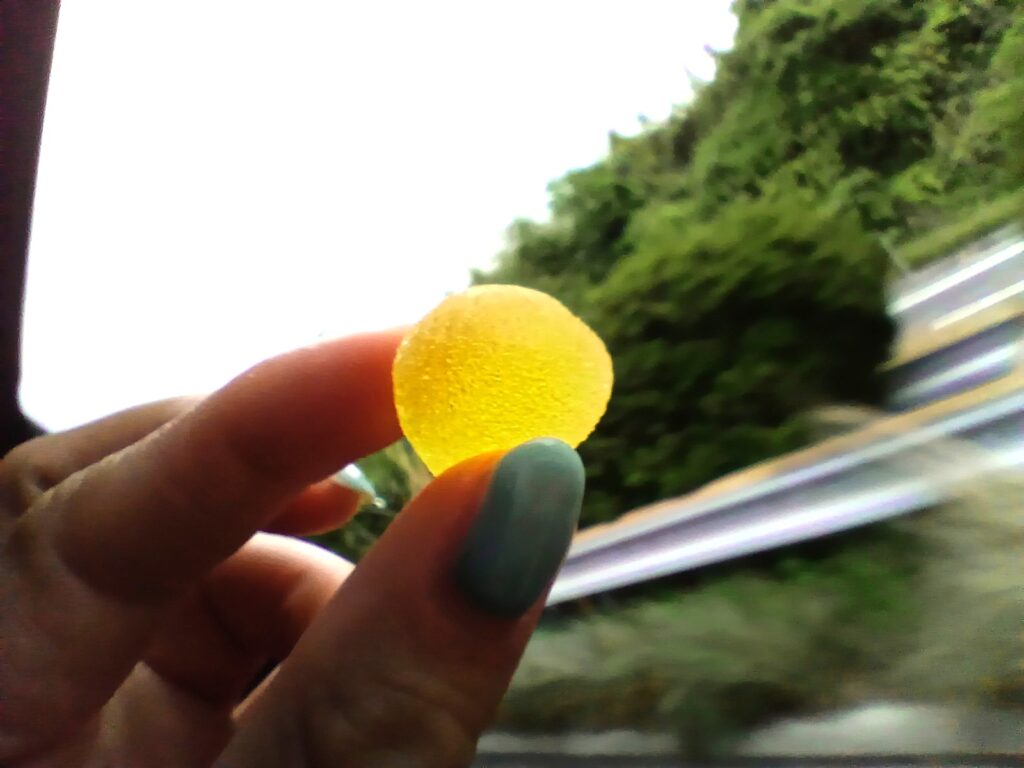 山陽道・下り 下松SA　みかんグミ
