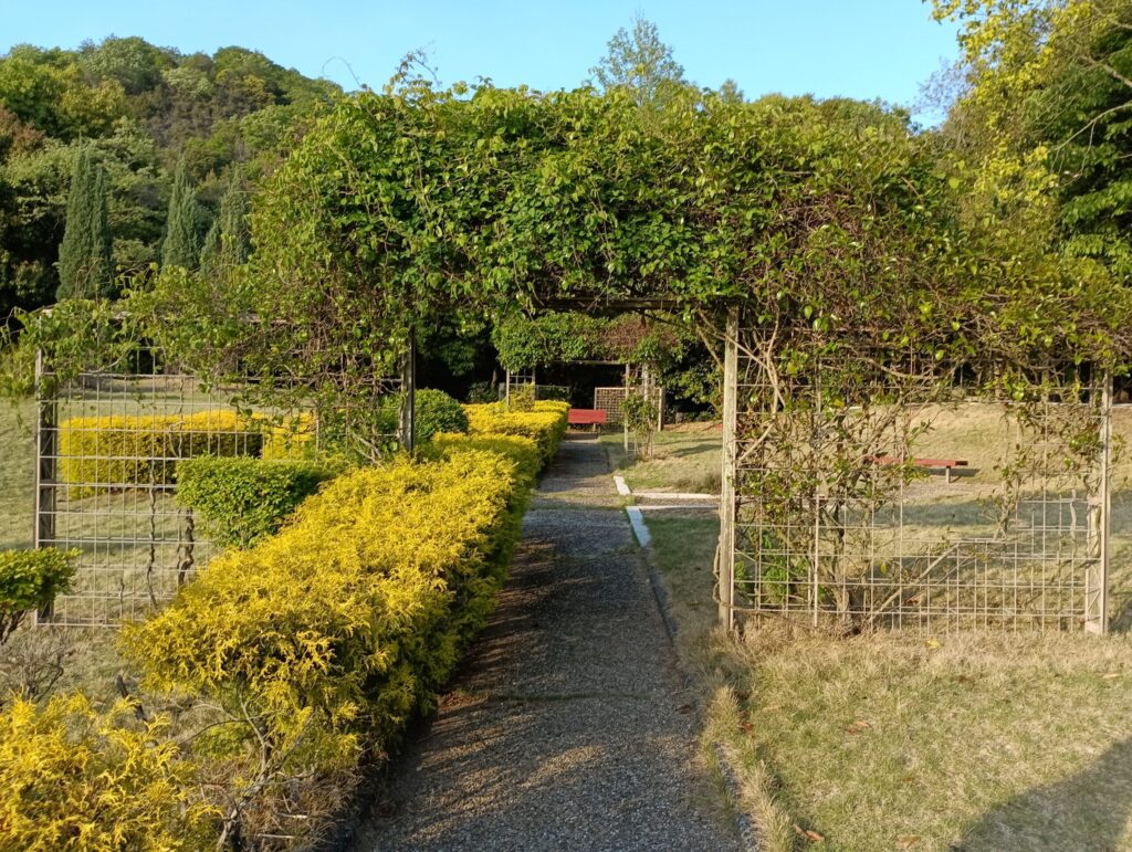 山陽自動車道・権現湖PA 上り　ハーブ園