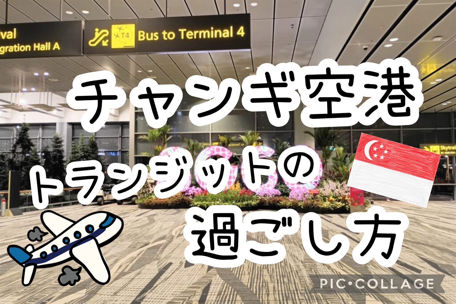 チャンギ空港 トランジットの過ごし方