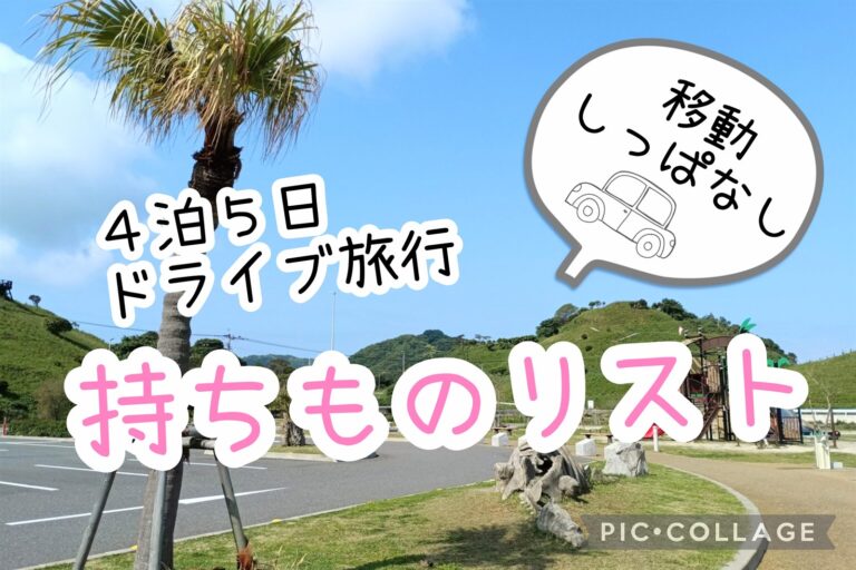 長距離ドライブの持ちもの