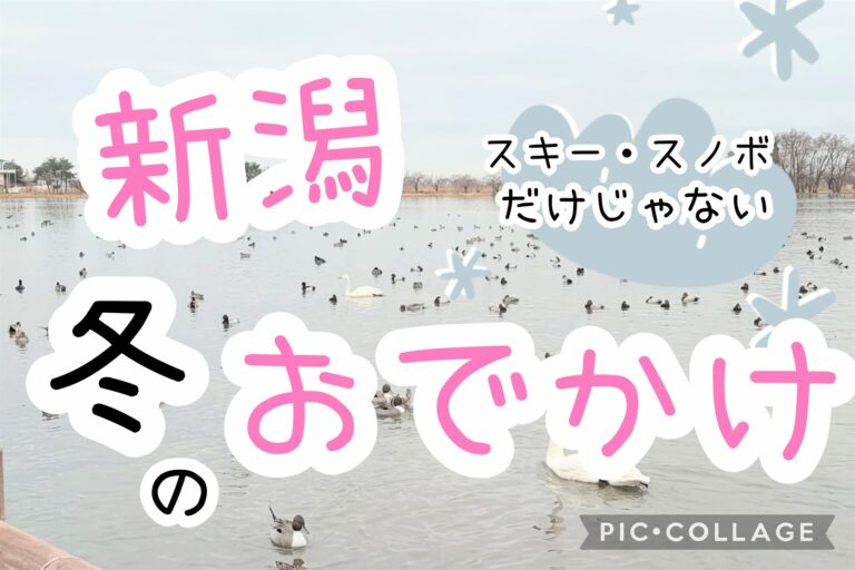 冬の新潟、スキー以外