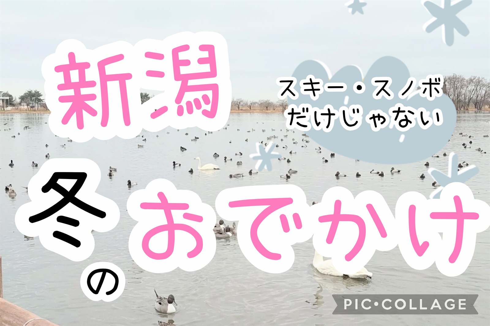 新潟 冬のおでかけ スキー・スノボだけじゃない
