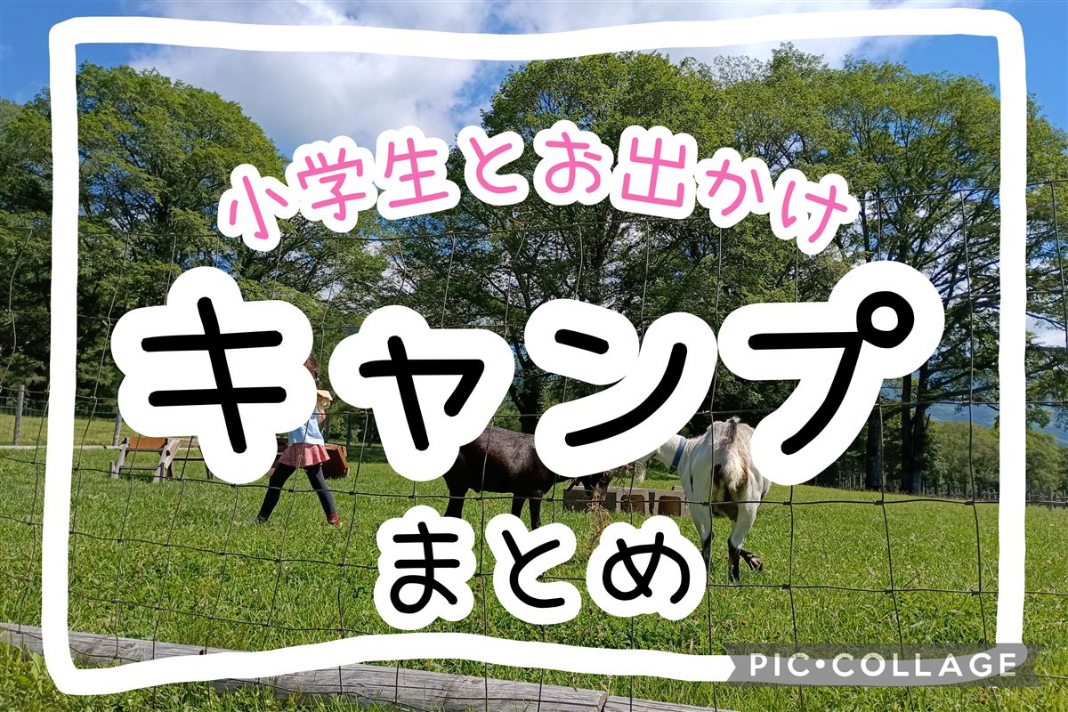 小学生とキャンプのアイキャッチ。牧場のヤギと子ども