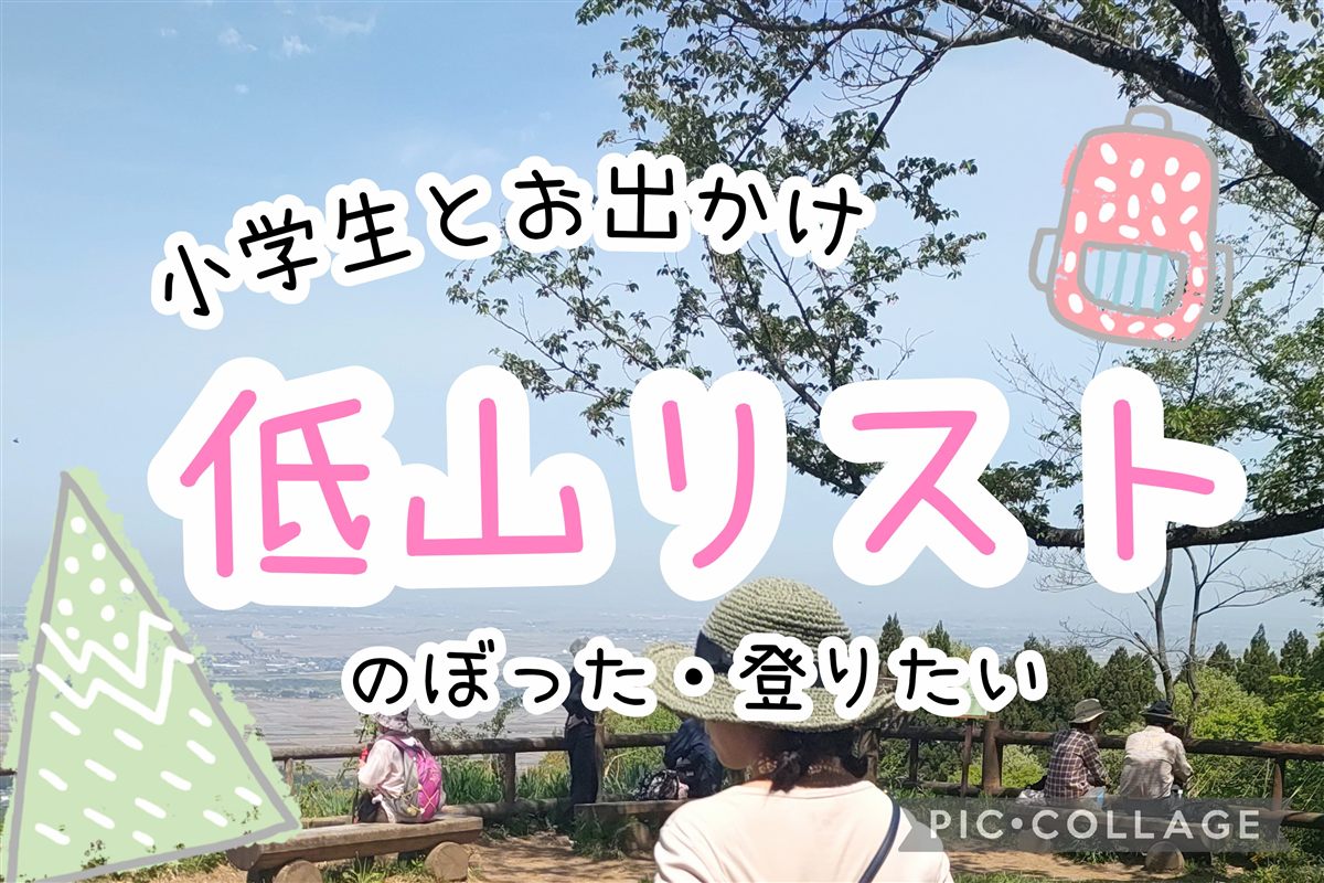 新潟で小学生と登れる低山リストのアイキャッチ。山頂の展望デッキから越後平野を見る人たち