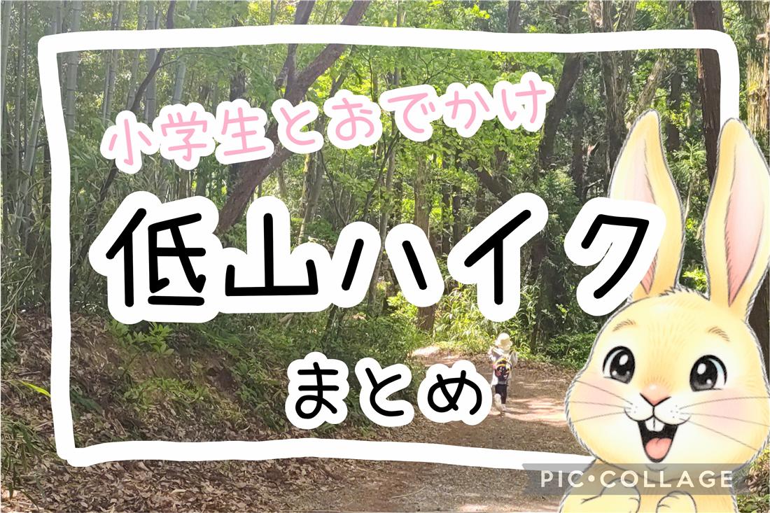 小学生と低山ハイクのアイキャッチ。木漏れ日の登山道を歩く子ども
