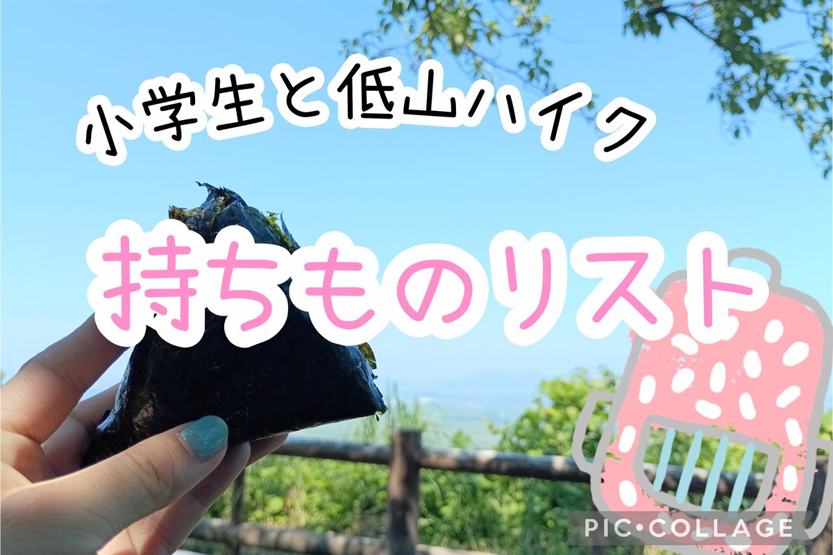 低山の山頂で、青空を背にのり巻きのおにぎりを持つ手